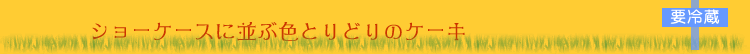 ショーケースに並ぶ色とりどりのケーキ 